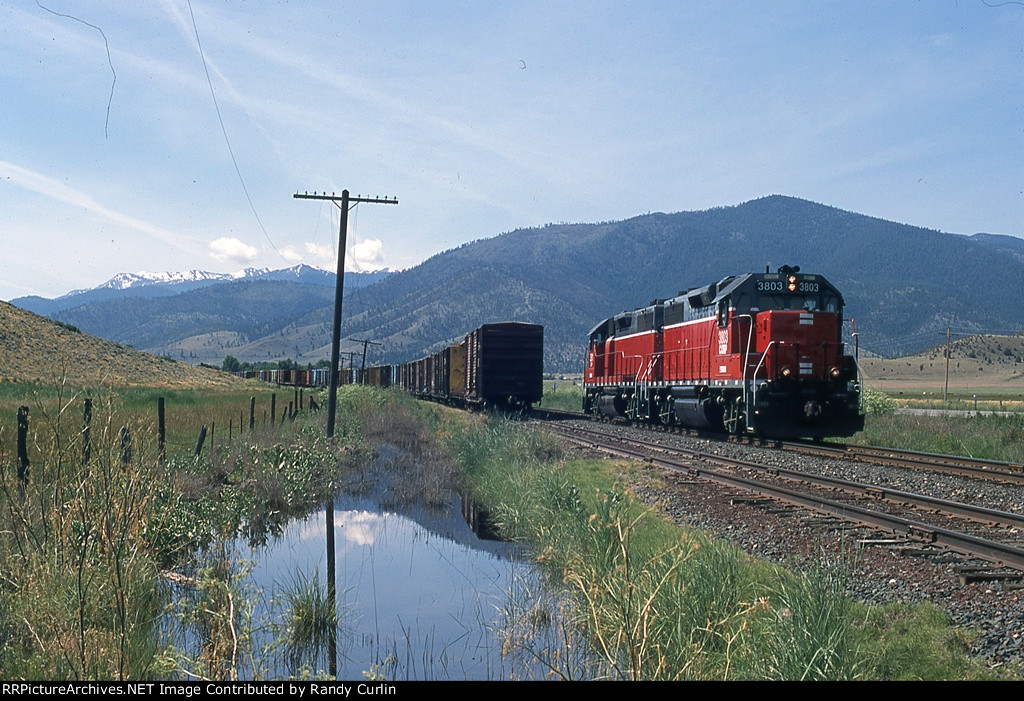 CORP 3803